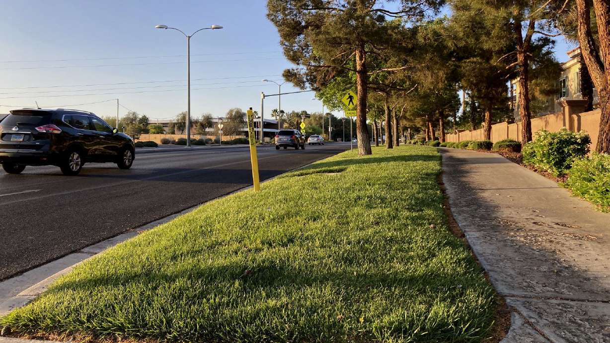 Traffic passes a grassy landscape on Green Valley Parkway in suburban Henderson, Nev., April 9, 2021. By 2027, more than 5,000 acres of what are deemed useless or simply ornamental turf will be ripped out of the Las Vegas Valley in what is the nation's first outright prohibition of turf in certain areas.