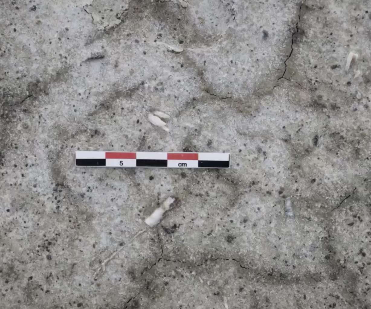 Wishbone svetainės, esančios JAV oro pajėgų sausumoje Tooele apygardoje, nuotrauka. Šioje žemėje buvo aptikti 12 300 metų senumo tabako gabaliukai.
