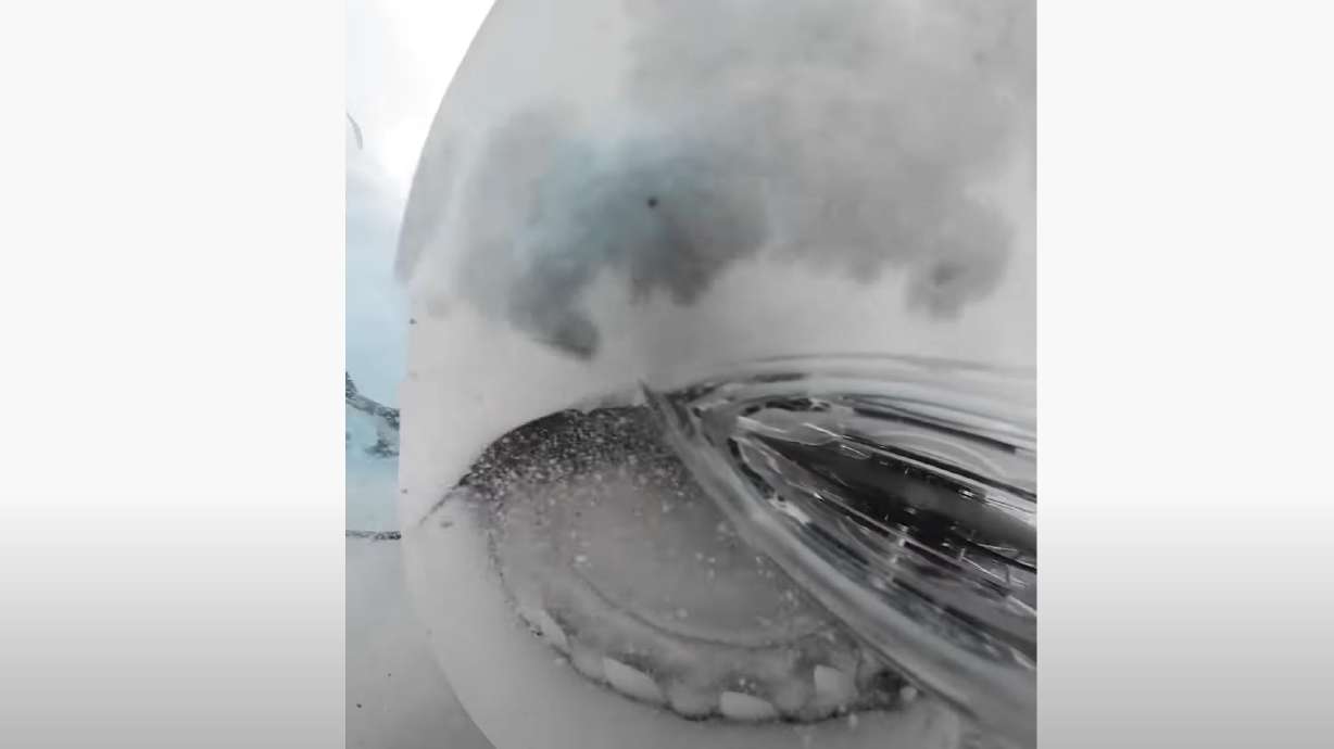 A shark unexpectedly ate an Insta360 ONE X2 action camera, giving us a look inside its mouth.