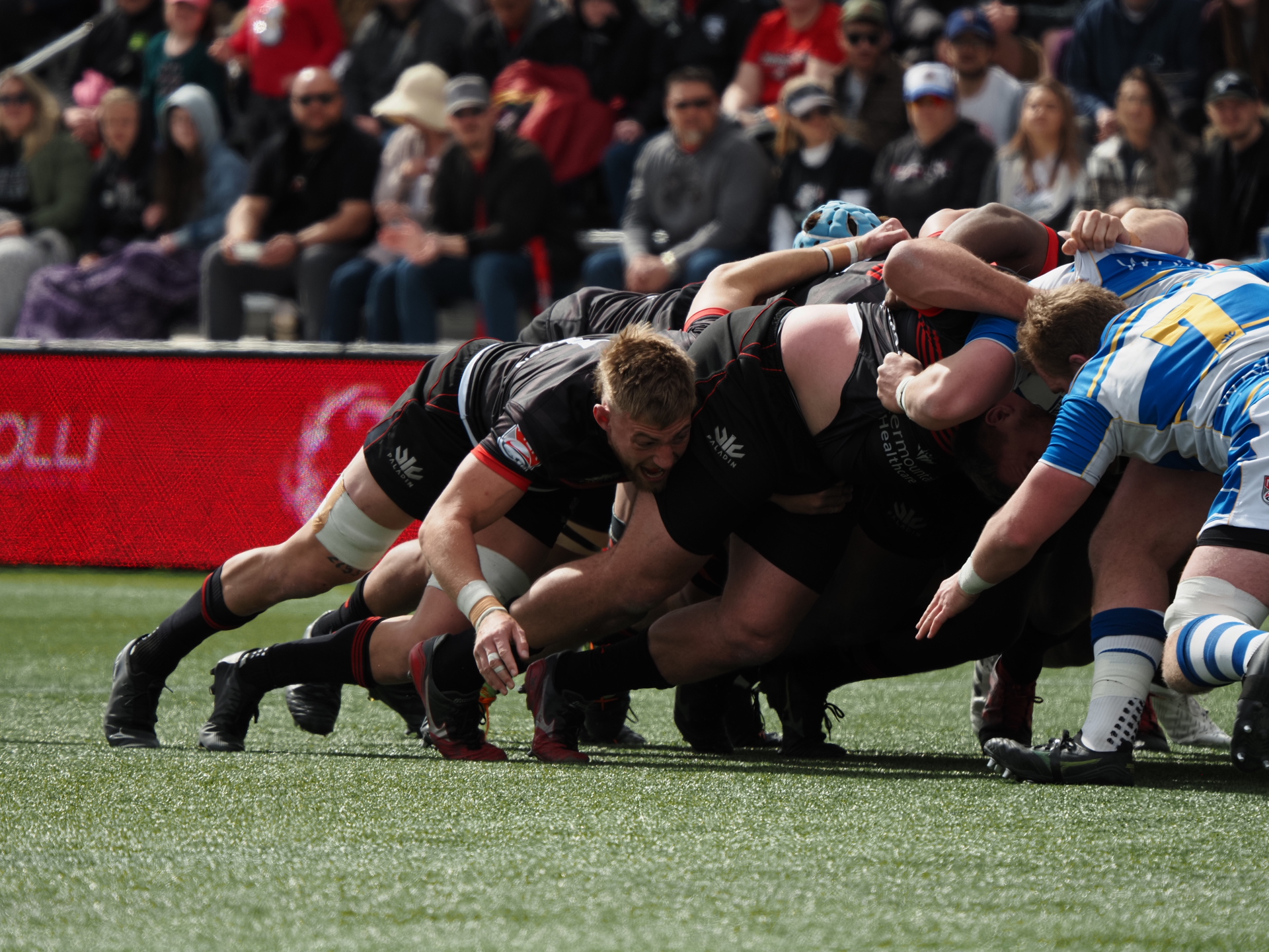 Utah Warriors flanker Bailey Wilson in a scrum during a recent match with Toronto. The Warriors snapped a six-game losing skid Saturday night with an upset victory over Rugby ATL at Zions Bank Stadium in Herriman.