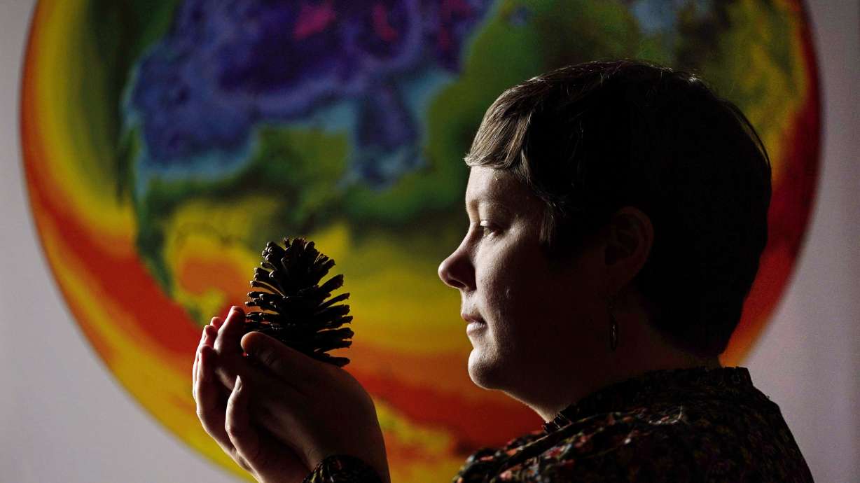 University of Maine climate scientist Jacquelyn Gill examines a cone from a western pine at the Sawyer Environmental Research Center, May 4, in Orono, Maine. Gill says her work as a paleo-ecologist and climatologist has given her hope for the Earth's resilience despite global warming.