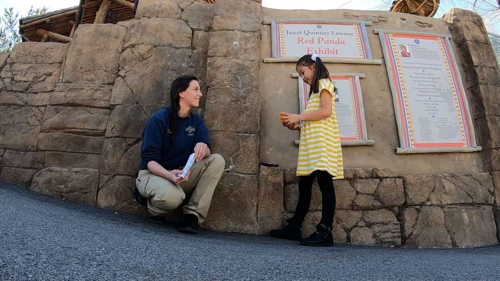 Mei chasing a story at the Hogle Zoo.