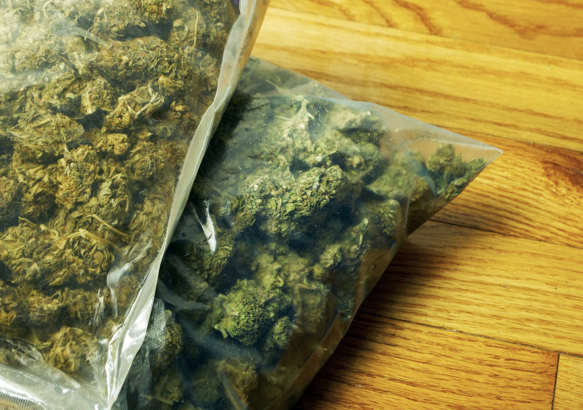 An expired registration lead to a large drug bust on I-80 in Tooele County on Sunday, in which Utah Highway Patrol Troopers seized 550 pounds of marijuana.