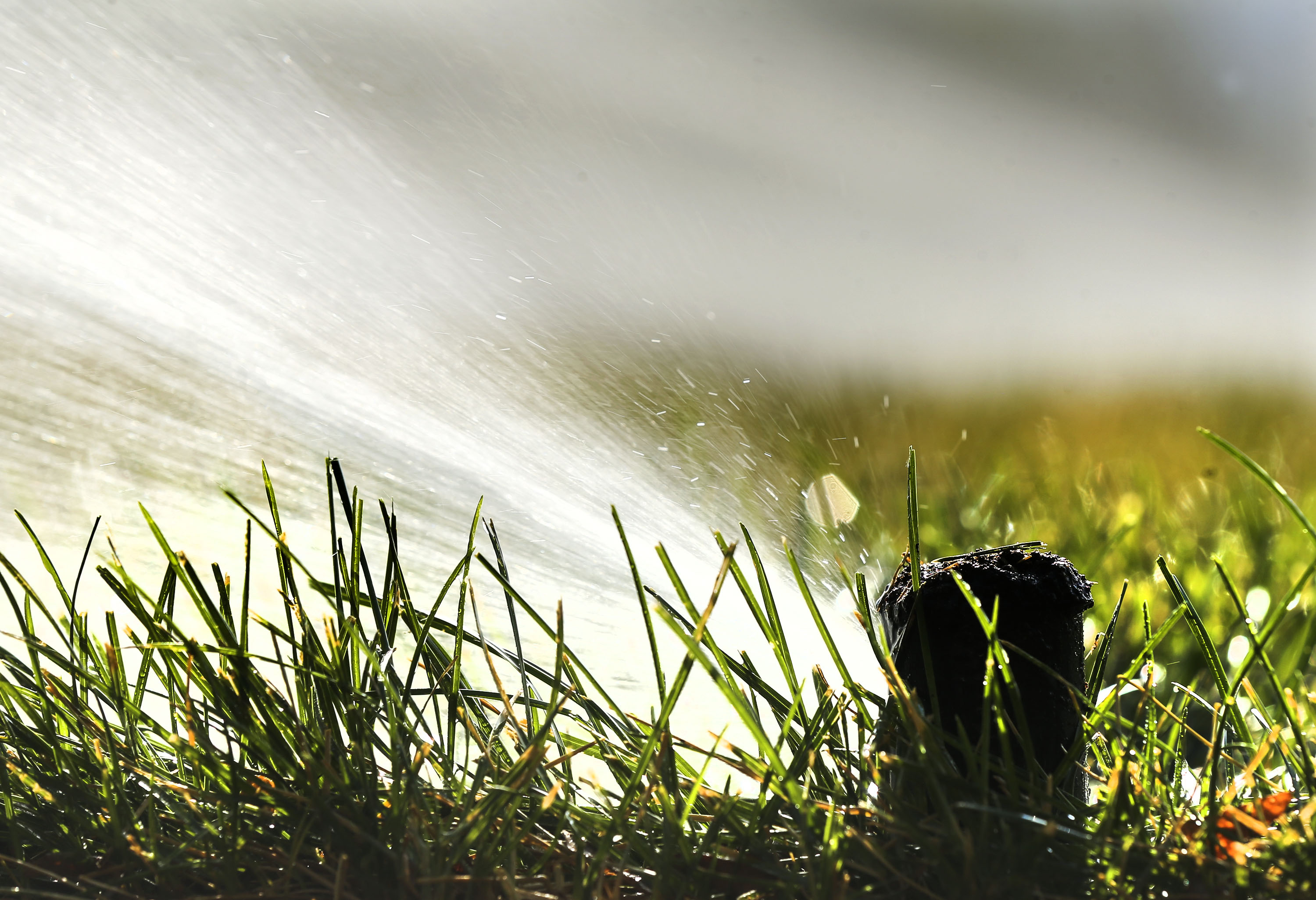 Grass is watered at Salt Lake Community College in Taylorsville on July 1, 2021. The Utah Division of Water Resources says it's OK for Utahns to water their lawns this week, but where they live dictates how many times they should do it.