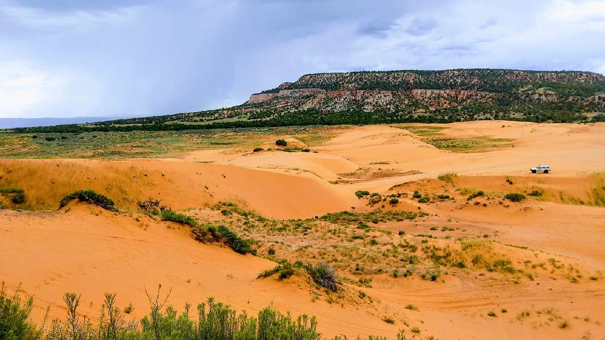 A 13-year-old boy died over the weekend after a sand tunnel he was digging at Coral Pink Sand Dunes State Park collapsed on him, state parks officials said Monday.