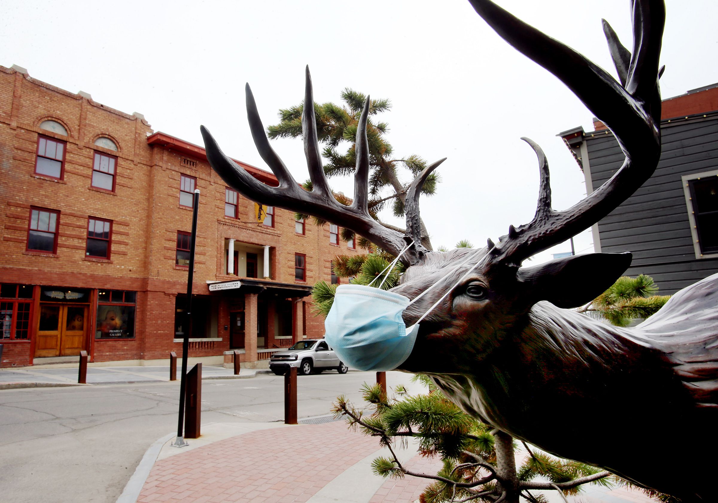 A masked deer looks out on a very slow Main Street in Park City on April 27, 2020. The Centers for Disease Control and Prevention has elevated Summit County’s COVID-19 risk level to medium.