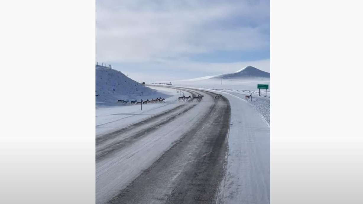 Thousands of antelope cross the highway in Wyoming on Jan. 1, as seen in a screenshot off the video posted to YouTube on May 2.