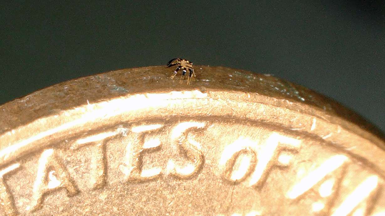 Engineers at Northwestern University in Evanston, Illinois, invented the world's smallest remote-controlled walking robot. The robotic crab can balance on the side of a penny.