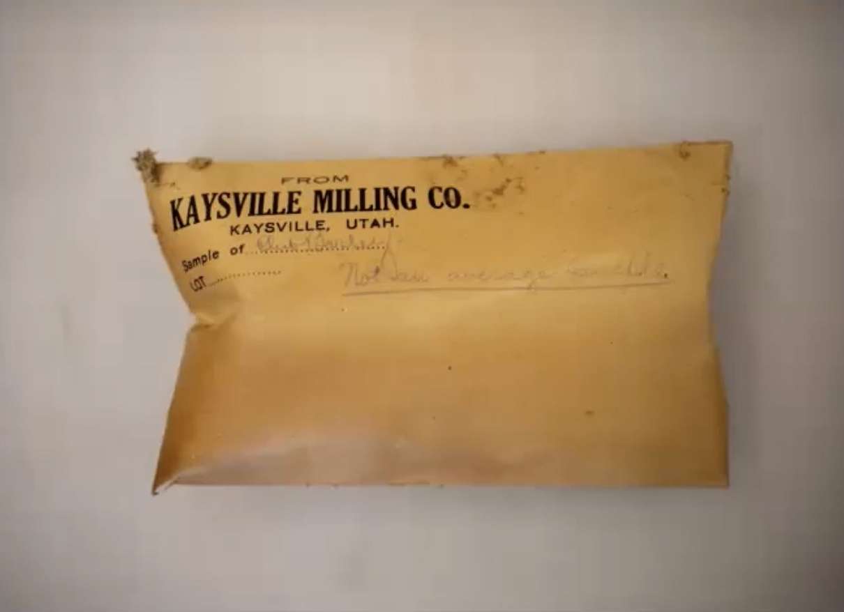 A photo of a Kaysville Milling Company envelope packed with barley that was placed inside the Kaysville Tabernacle time capsule in 1912. Henry Blood, who was the president of the company and the bishop of the ward at the time, would go on to become the governor of Utah in the 1930s.