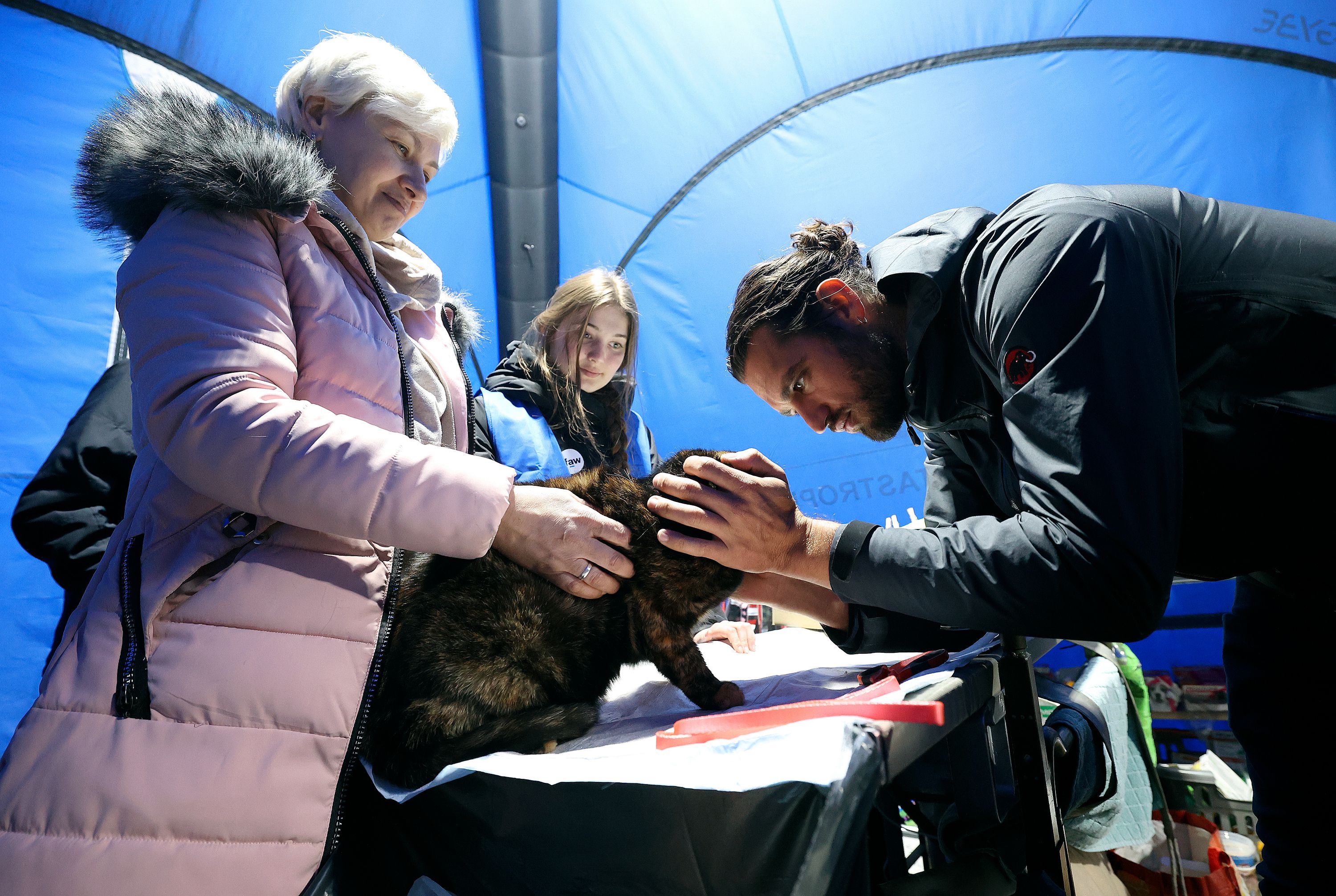 Olga Hladysh, from Leviv, Poland, watches as International Fund for Animal Welfare veterinarian Andrew Kushnir looks at her cat Bandy at the Polish-Ukrainian border in Medyka, Poland, on April 19.