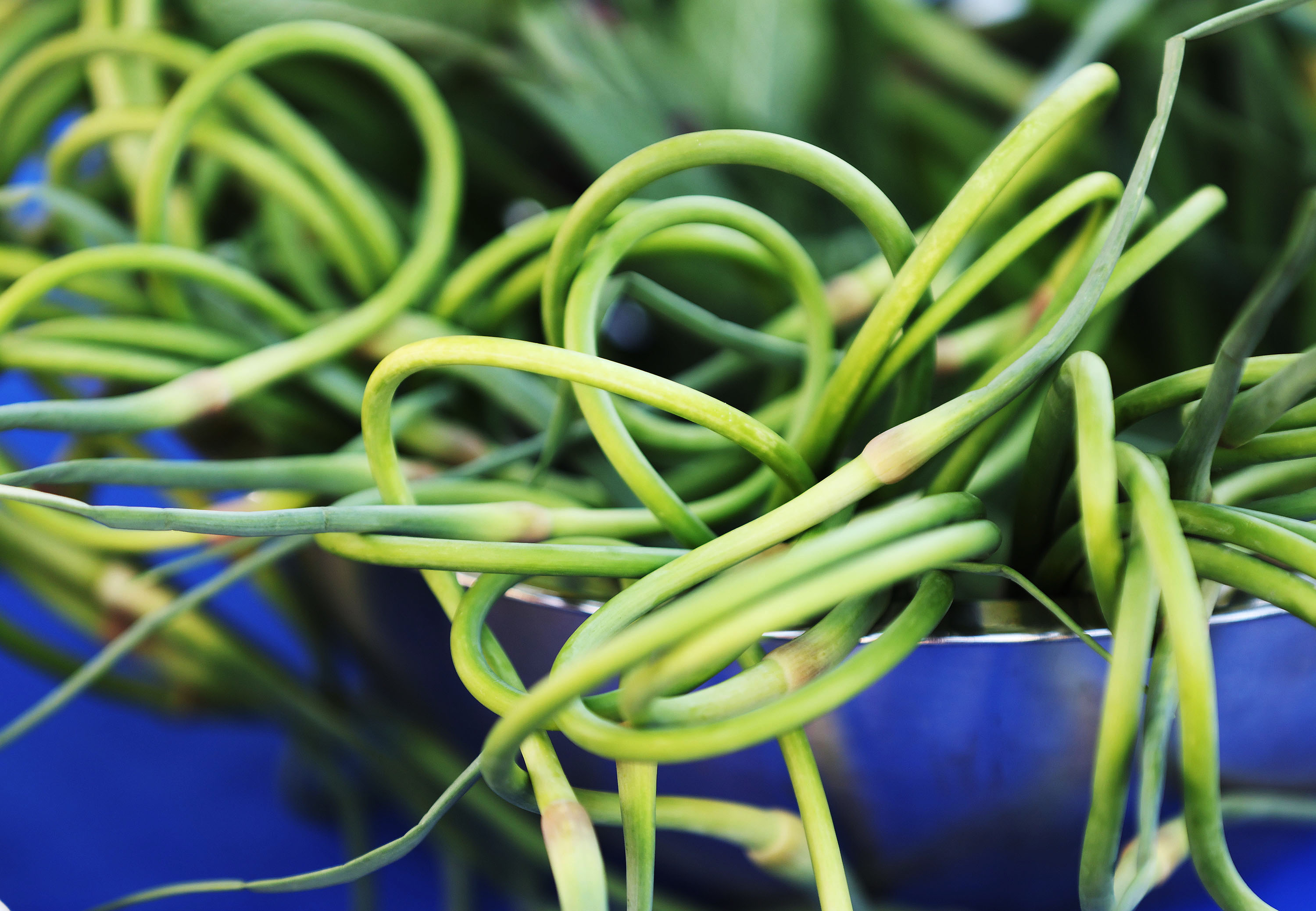 Garlic snaps are displayed during a press conference about the upcoming farmers market in Salt Lake City on Tuesday. Utah’s largest farmers market returns to Pioneer Park Saturday.