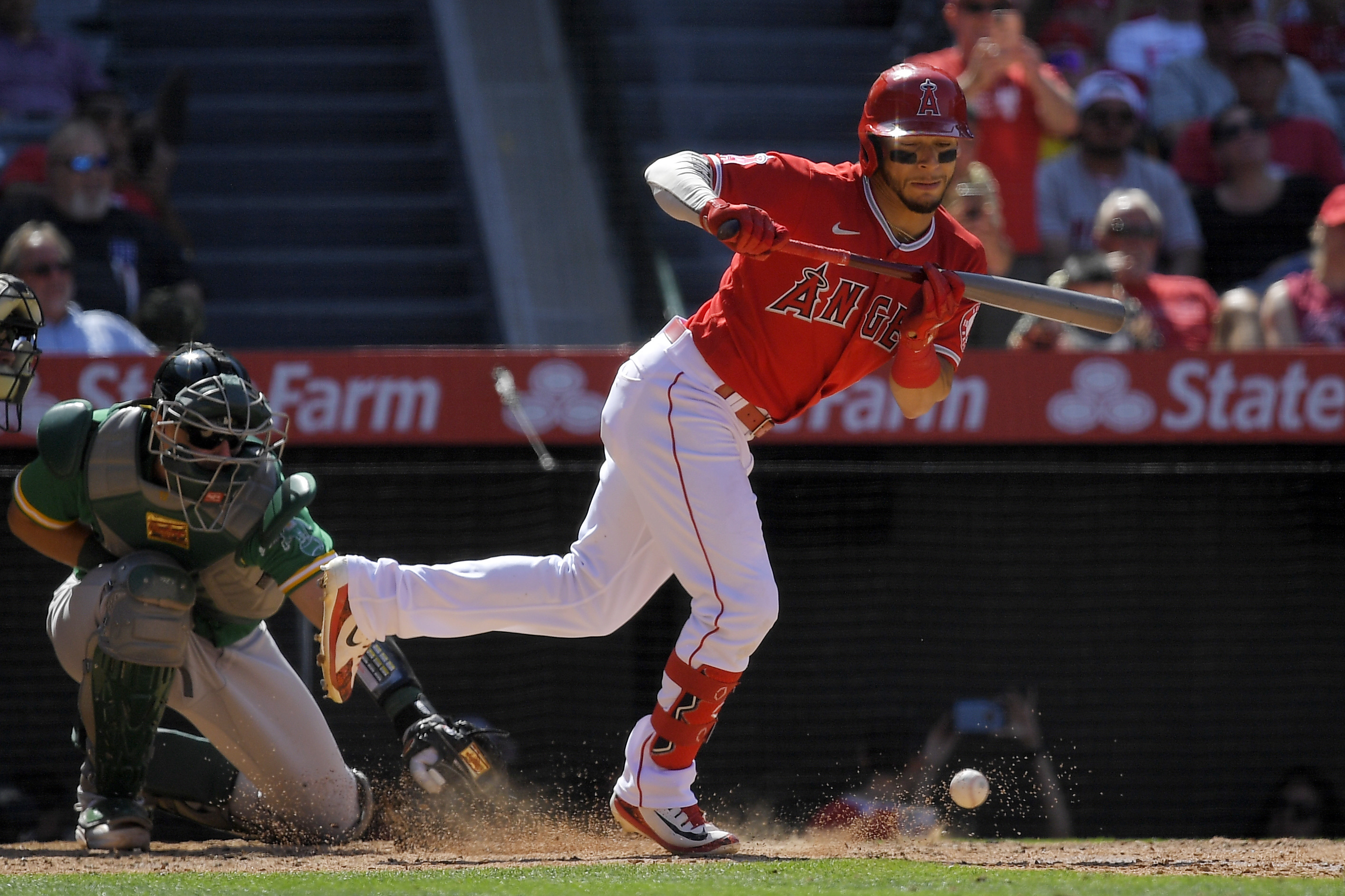 Los Angeles Angels' Andrew Velazquez, right, is hit by a pitch as Oakland Athletics catcher Sean Murphy kneels at the plate during the eighth inning of a baseball game Sunday, May 22, 2022, in Anaheim, Calif. 