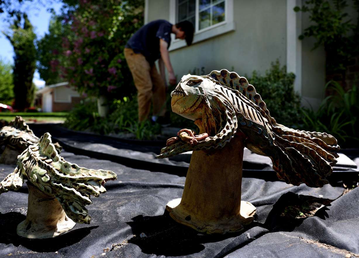 Liam Marx installs drip lines in his yard in Layton on Thursday. The ceramic fish, sculpted by his mother, Shalise Marx, is part of a xeriscaping project that the two are working on.
