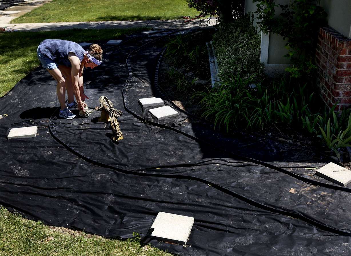 Shalise Marx arranges ceramic fish while working on a xeriscaping project in her yard in Layton on Thursday. The fish will be swimming in a river of colored rocks once the project is completed.