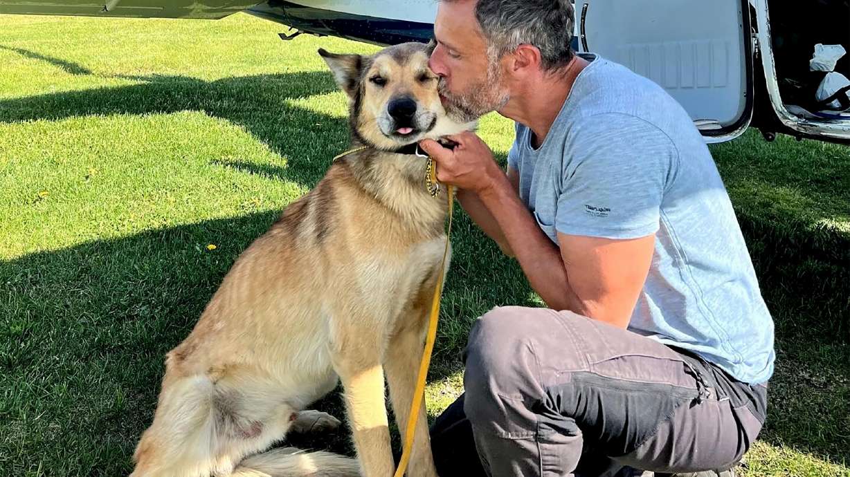 In this photo provided by Regal Air, musher Sebastien Dos Santos Borges, of France, and sled dog Leon arrive in Anchorage, Alaska, Saturday, June 4, 2022, after being reunited. The Iditarod Trail Committee says Leon went missing in March during the nearly 1,000-mile race across Alaska before being found three months later after covering nearly 150 miles. Leon was expected to see a veterinarian in the coming days and needs a health certificate before he can fly back to France, Iditarod spokesperson Shannon Markley said.