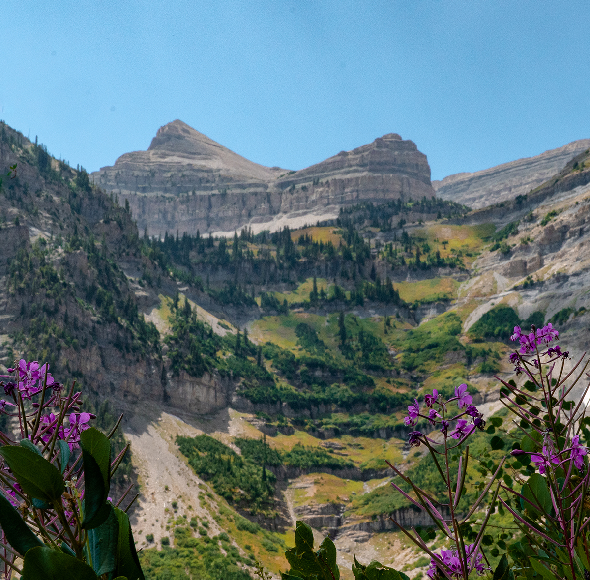 6 can't miss hiking trails in Utah County