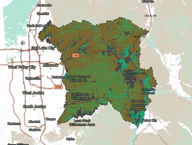 This map, available on the Central Wasatch Commission environmental dashboard, shows the shrub (brown), forest (dark green), riparian (light green) and un-vegetated (black) areas of the central Wasatch Mountains. When the map is zoomed in, people can view specific plant species in the region.