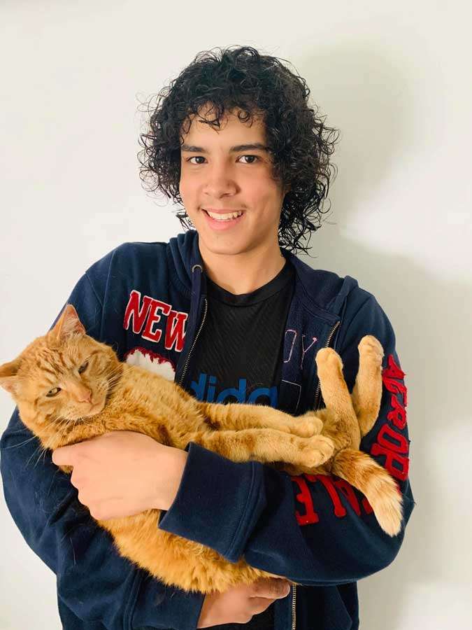 Goose, the orange tabby, is reunited with his human, Beck, after two long years.