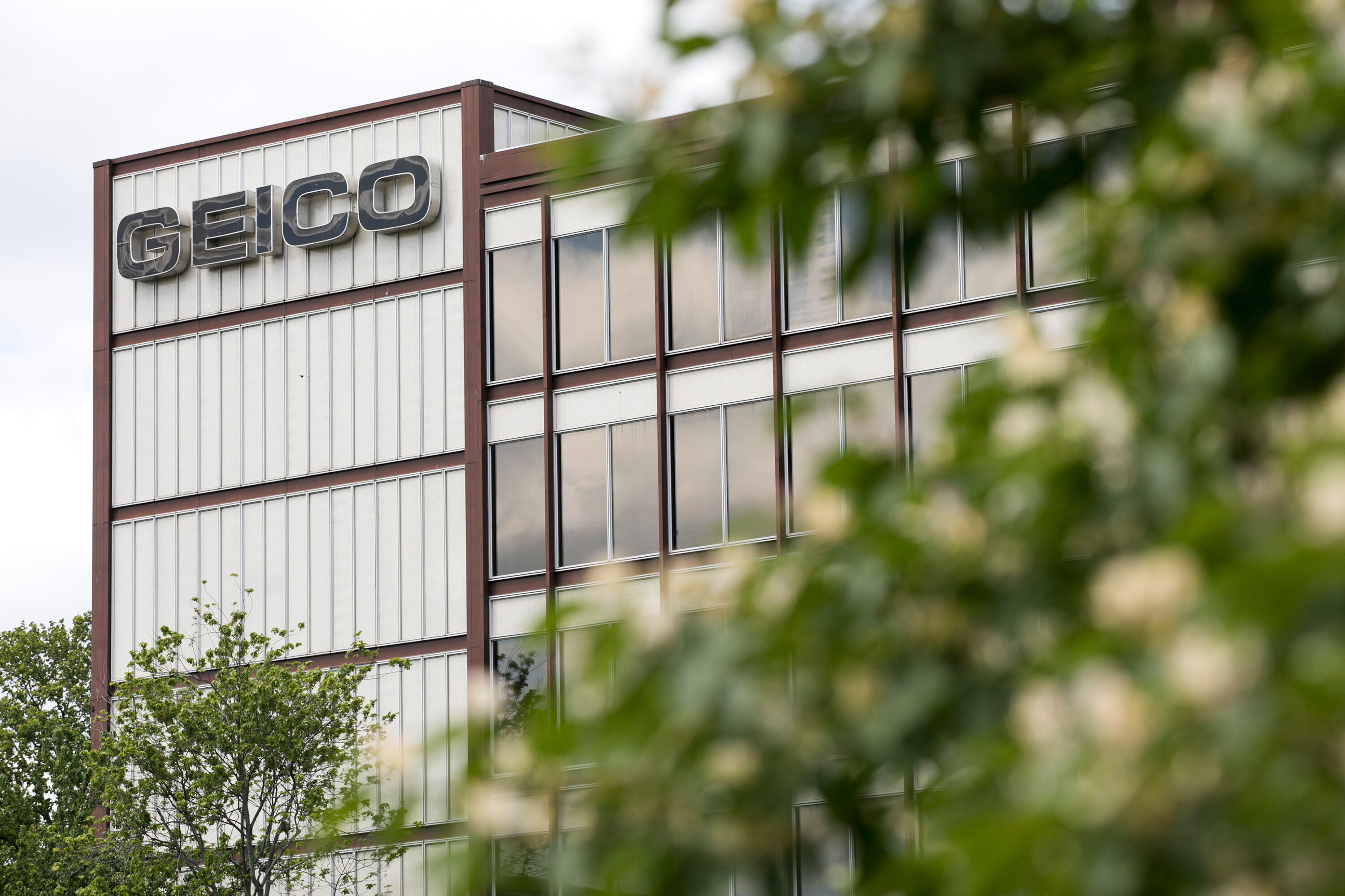 A woman who said she contracted an STD from her partner in a Geico-insured vehicle argued the "insurance policy provided coverage for her injuries and losses," according to court documents.