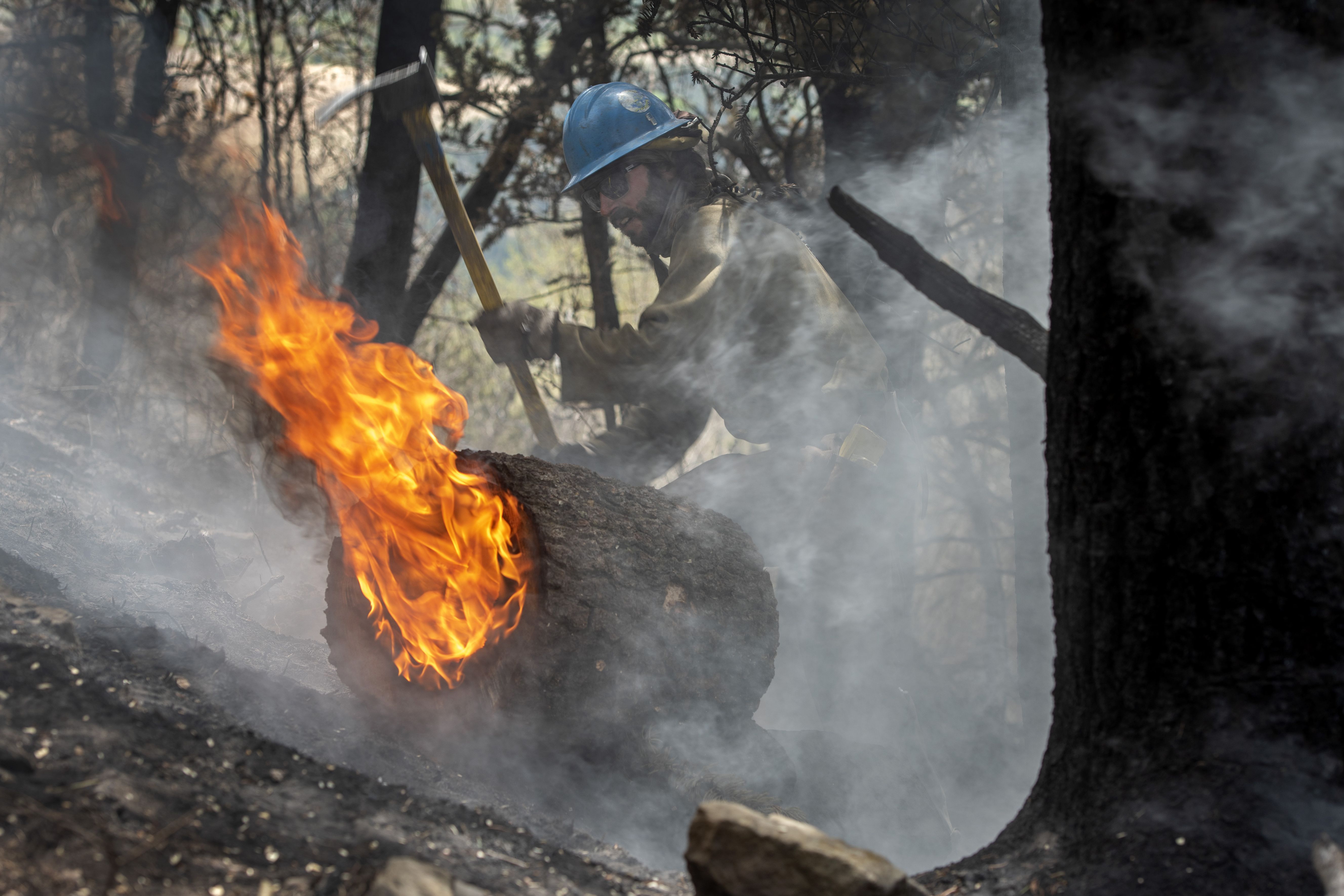 Tyler Freeman, a sawyer for the Carson Hot Shots, digs a hole to keep a burning log from rolling down a slope, May 23, as he and his co-workers are working on hot spots from the Calf Canyon/Hermit Peak Fire in the Carson National Forest west of Chacon, N.M.