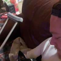 Police asking for information about dog shot to death in Panguitch