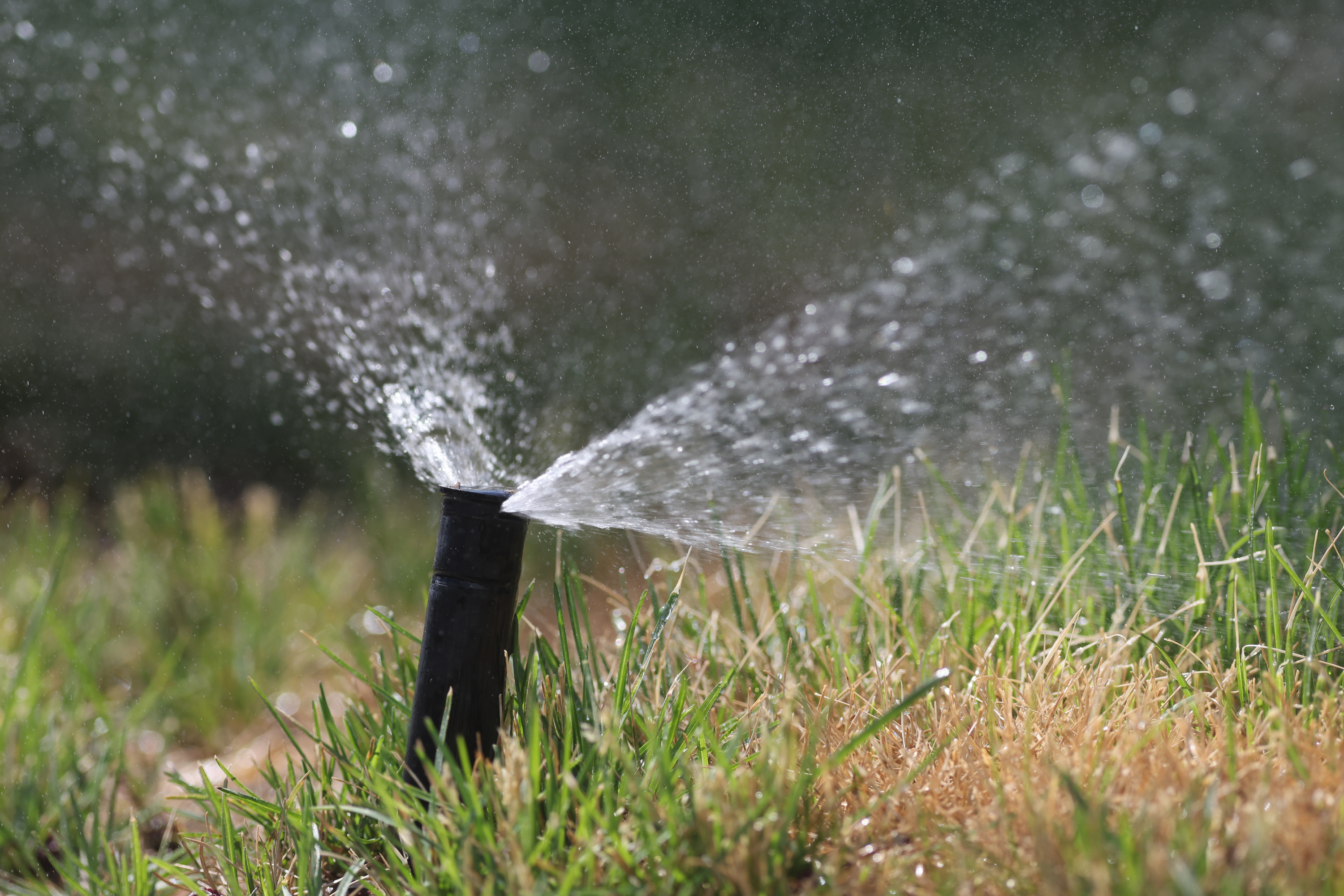 Cedar City officials prioritized exploring new sources of water and maintaining current infrastructure in its recently adopted $60 million budget.