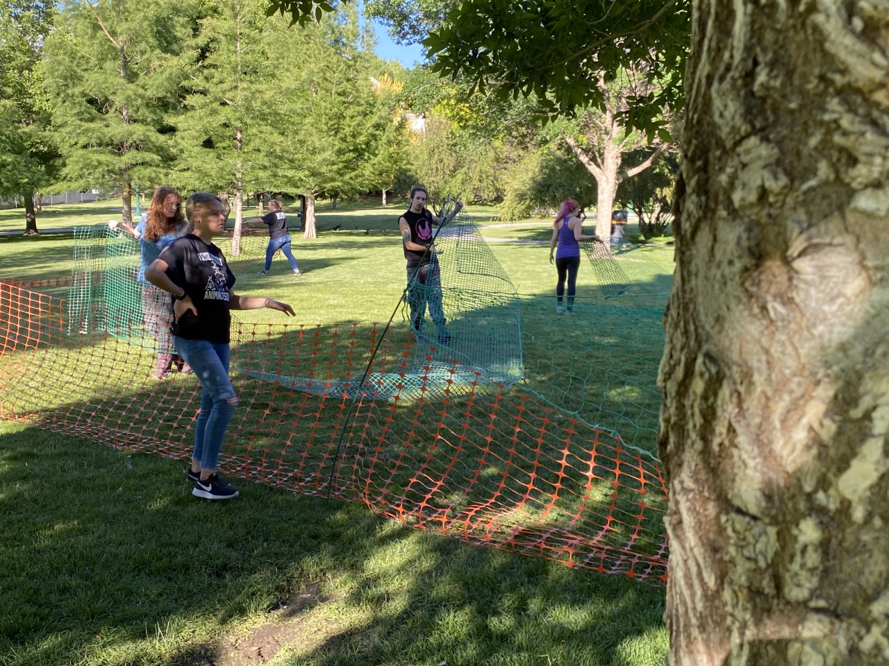 A group deploys nets and steers ducks toward a trap so they can be loaded into travel crates in Orem Wednesday.