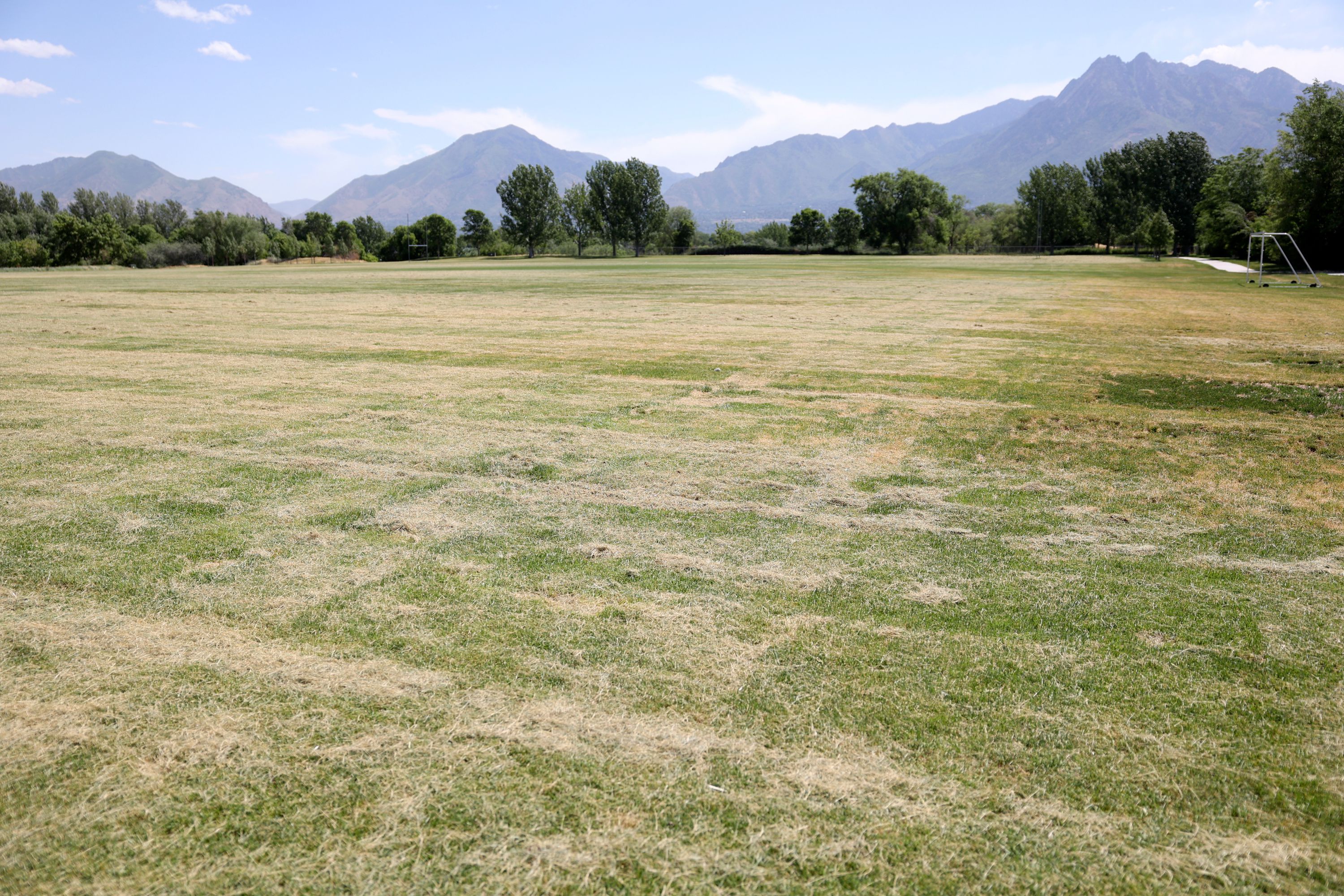 Salt Lake County’s rugby fields are pictured in Murray on Friday. Salt Lake County is planning to replace some park strips and athletic fields with water-wise landscaping and artificial turf.