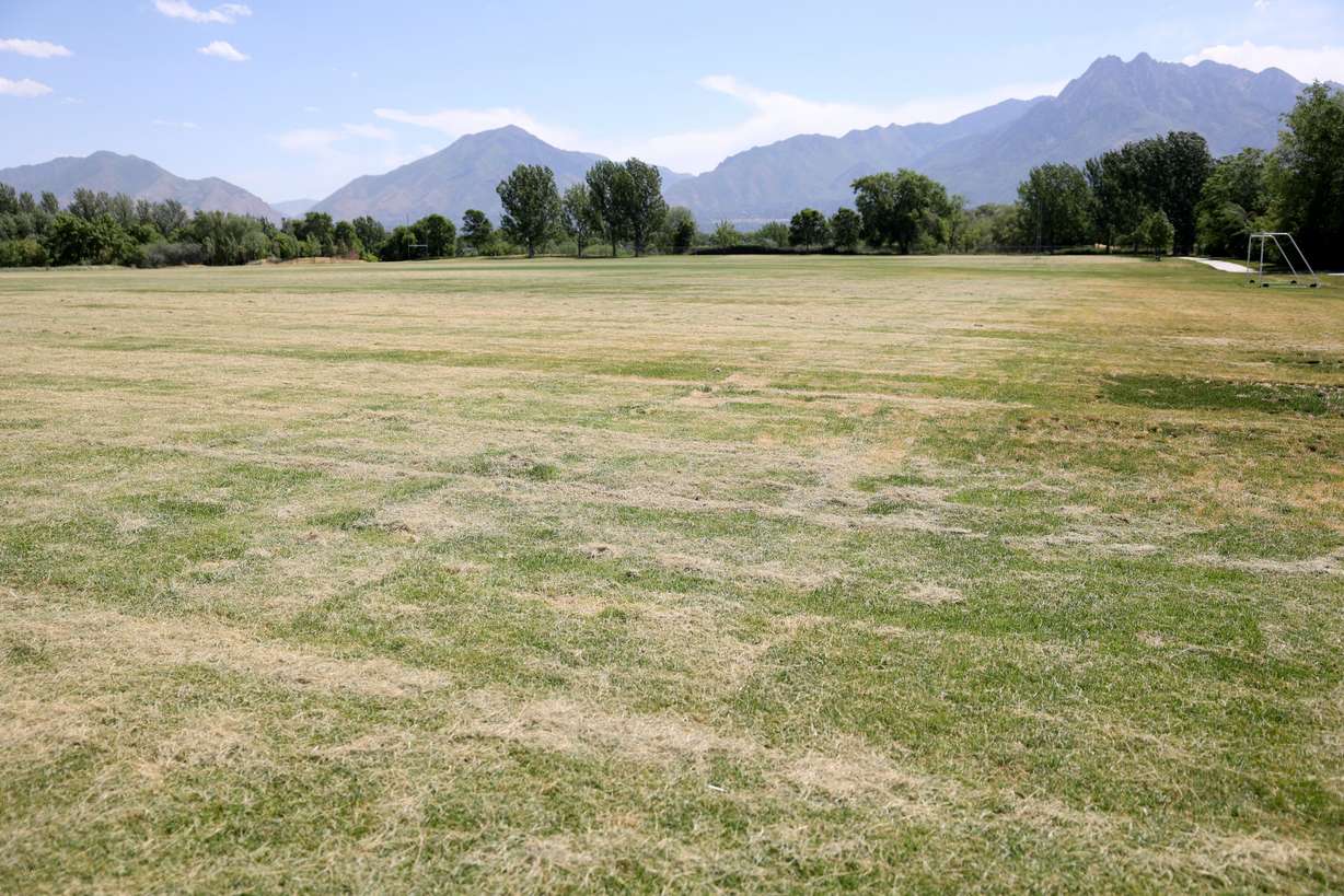 Salt Lake County’s rugby fields are pictured in Murray on Friday. Salt Lake County is planning to replace some park strips and athletic fields with water-wise landscaping and artificial turf.