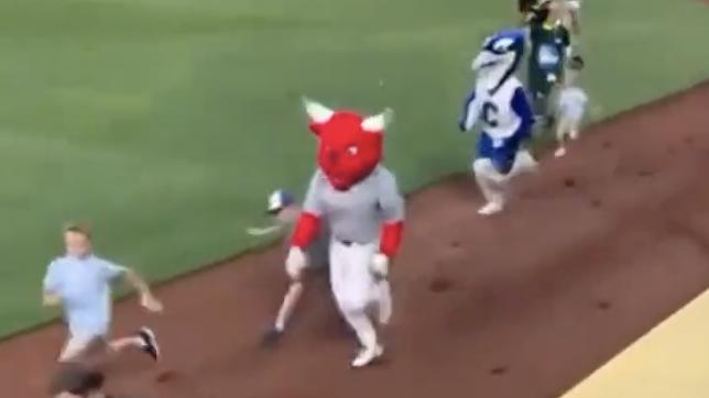 When mascot racing goes wrong.