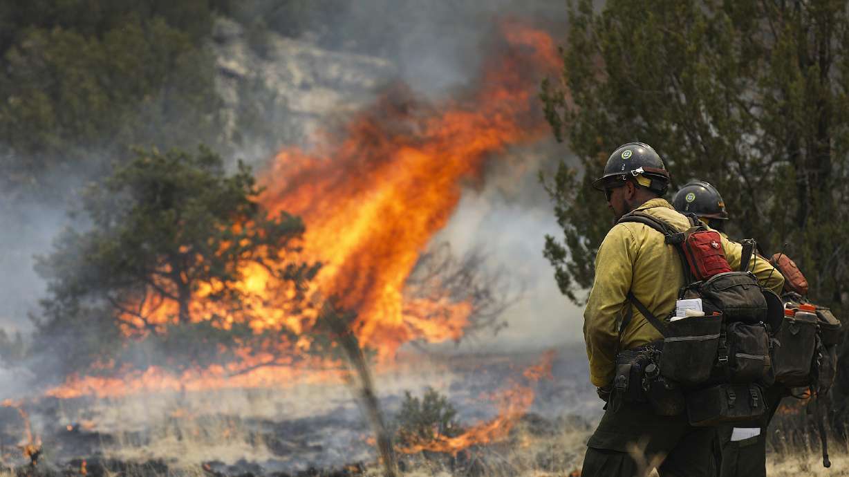 Hot shot crew members keep an eye on the blaze as fire crews ignite the underbrush off of Forest Road 545B in an effort to contain the Pipeline Fire near Flagstaff, Arizona on June 15.