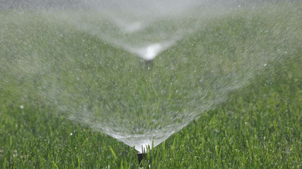 A sprinkler waters grass in Sandy on May 31. The Church of Jesus Christ of Latter-day Saints announced Wednesday that it is cutting back on watering outside of its meetinghouses and temples across the West as a result of the lingering drought throughout the region.