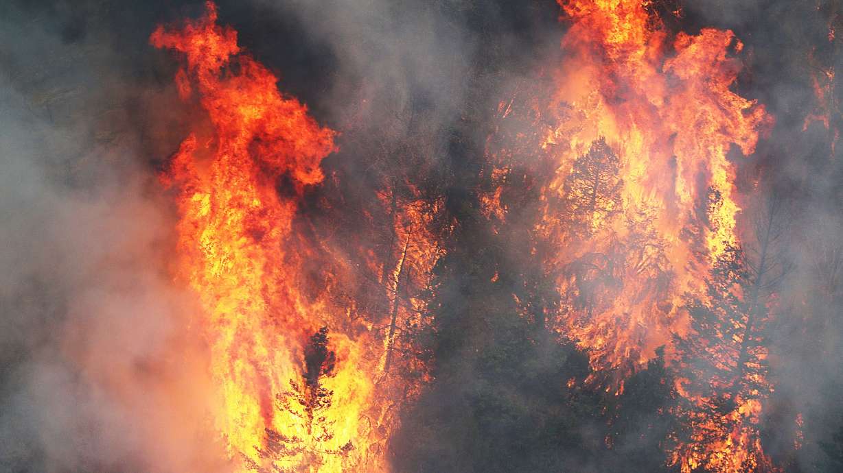 Trees burn in the Coal Hollow Fire on Aug. 9, 2018. The National Weather Service in Salt Lake City is warning of the potential for strong thunderstorms and flash flooding in central and eastern Utah Thursday into Friday — and with those storms come the possibility of lightning and wildfires.