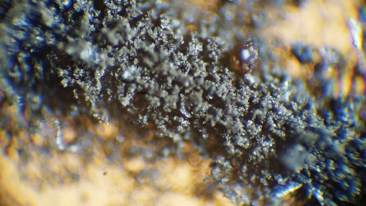 This April 2022 handout photograph provided by RR Auction shows moon dust from the 1969 Apollo 11 mission, which was pulled from an auction listing after NASA said the dust, and some cockroaches that were fed the dust, are property of the federal government.