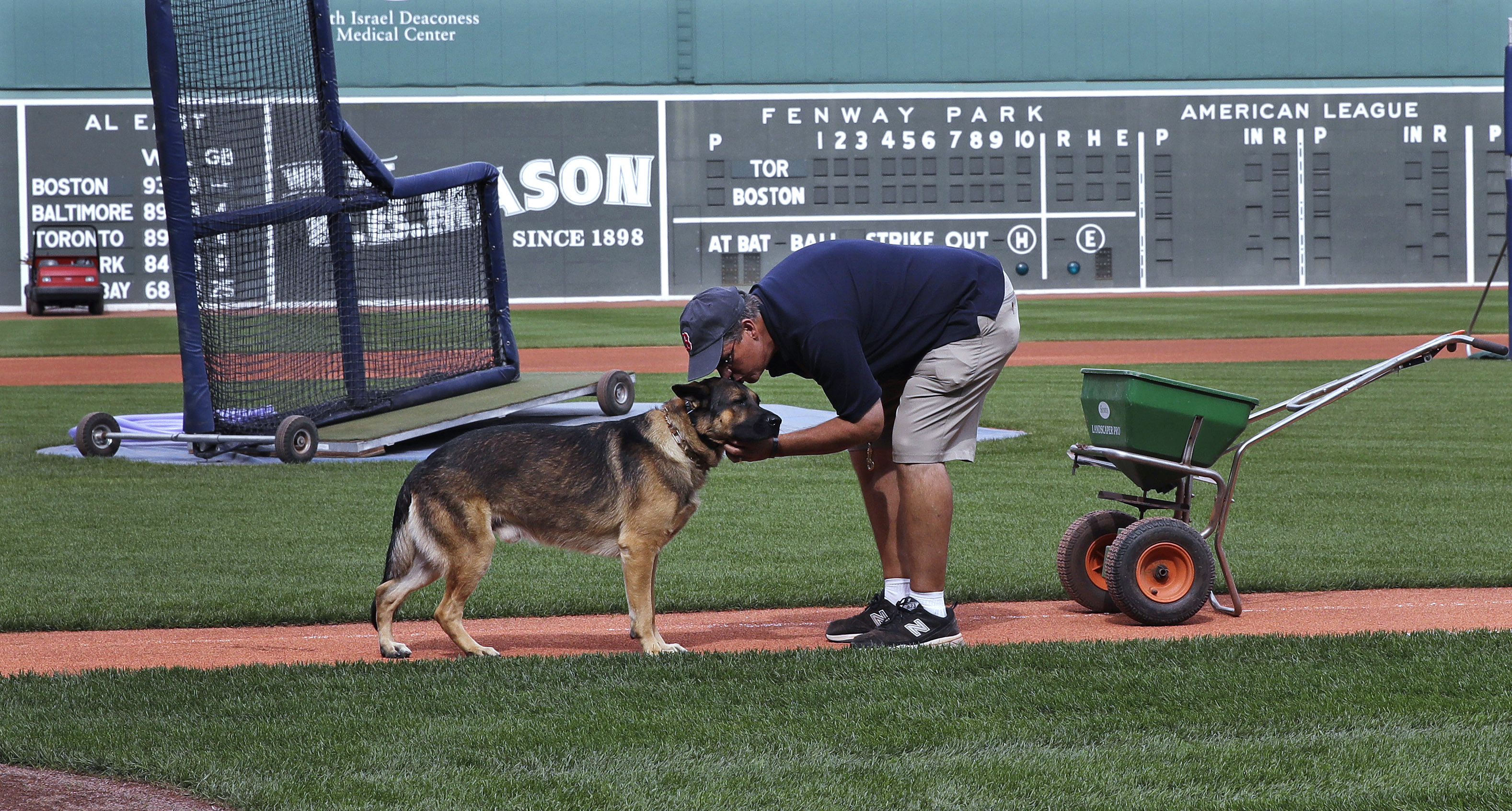 FILE - Boston Red Sox groundskeeper Dave Mellor bends over and kisses his service dog Drago while preparing the field for baseball practice at Fenway Park in Boston, Oct. 8, 2016. In 1995 Mellor, while working for the Milwaukee Brewers, was hit by a car that drove through a security gate and onto the stadium's field while sod was being replaced. A week ago, shortly after walking on the outfield grass before the Red Sox hosted Oakland, Drago had a stroke. Two days later, he died at age 10. 