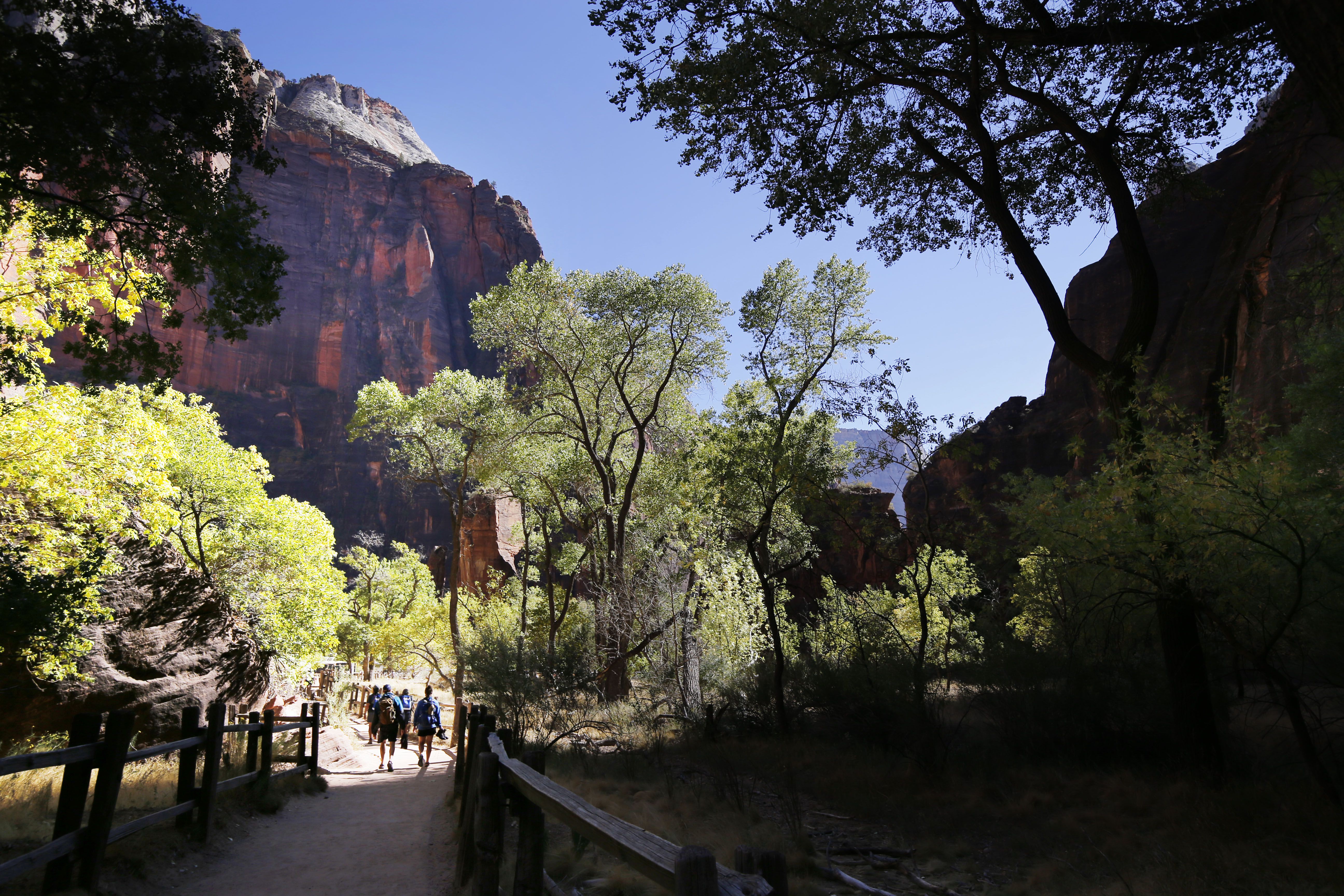 Visitors hike at Zion National Park on Wednesday, Oct. 14, 2020.
