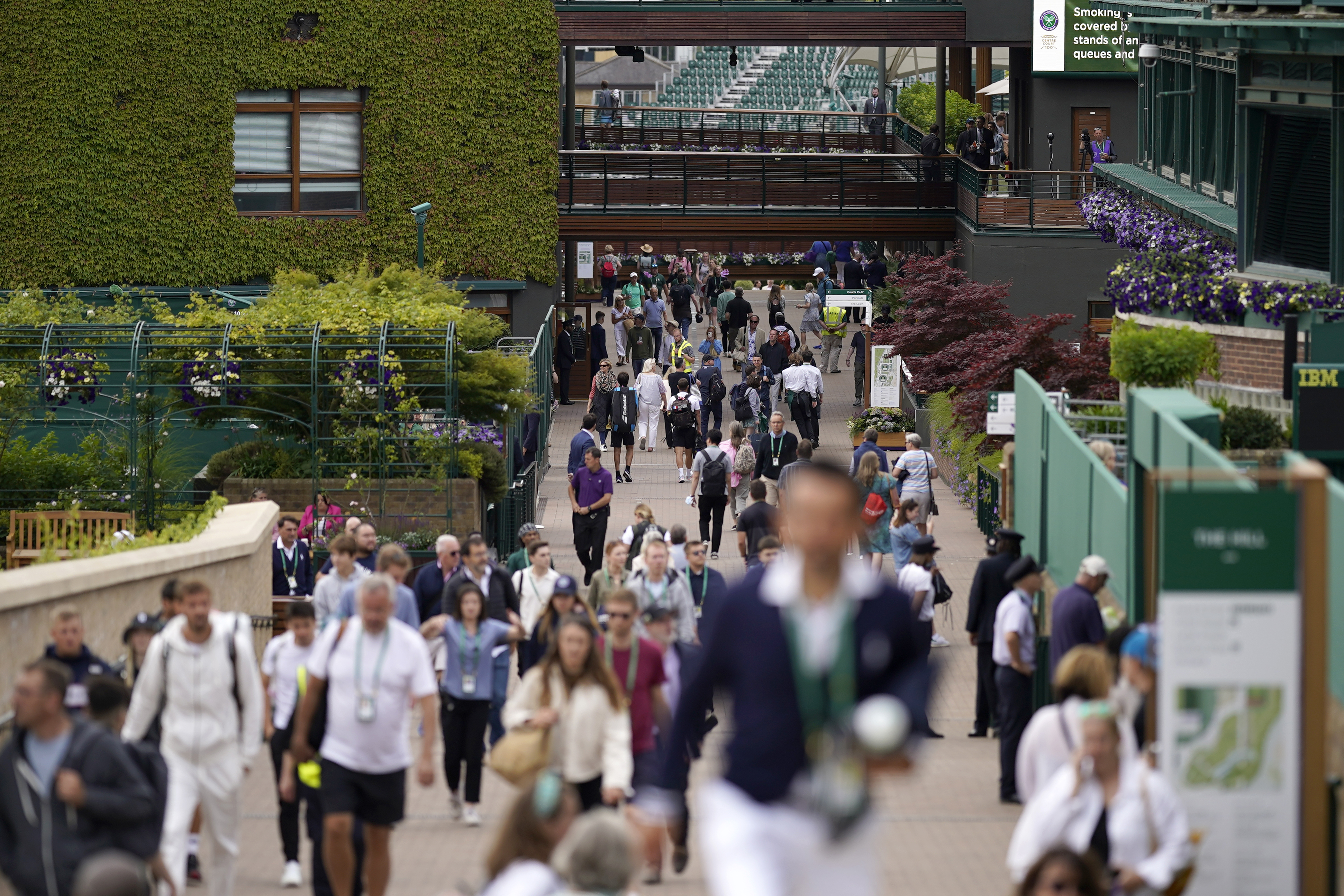 Wimbledon updates | Andy Murray again reaches 2nd round - Vimarsana News