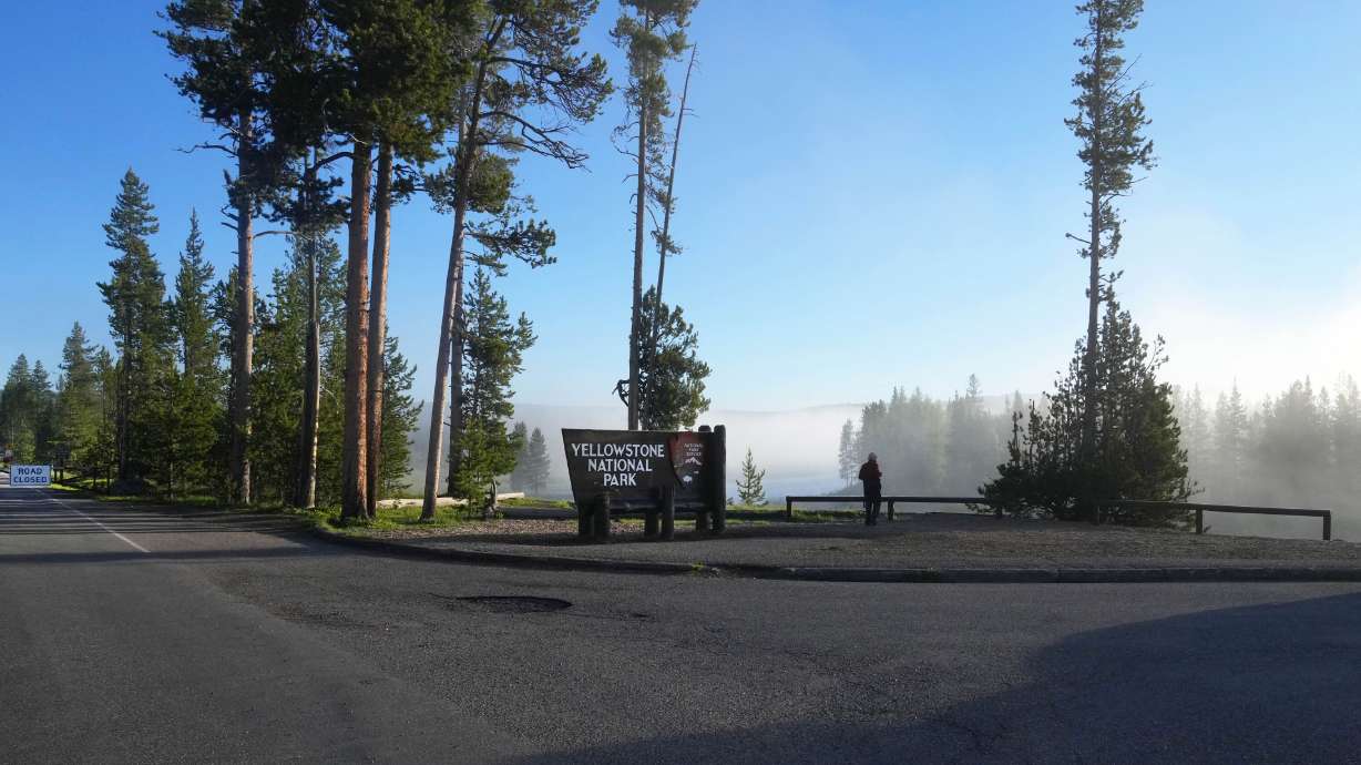 A man suffered an injury to his arm after being gored by a bull bison in Yellowstone National Park in Wyoming.