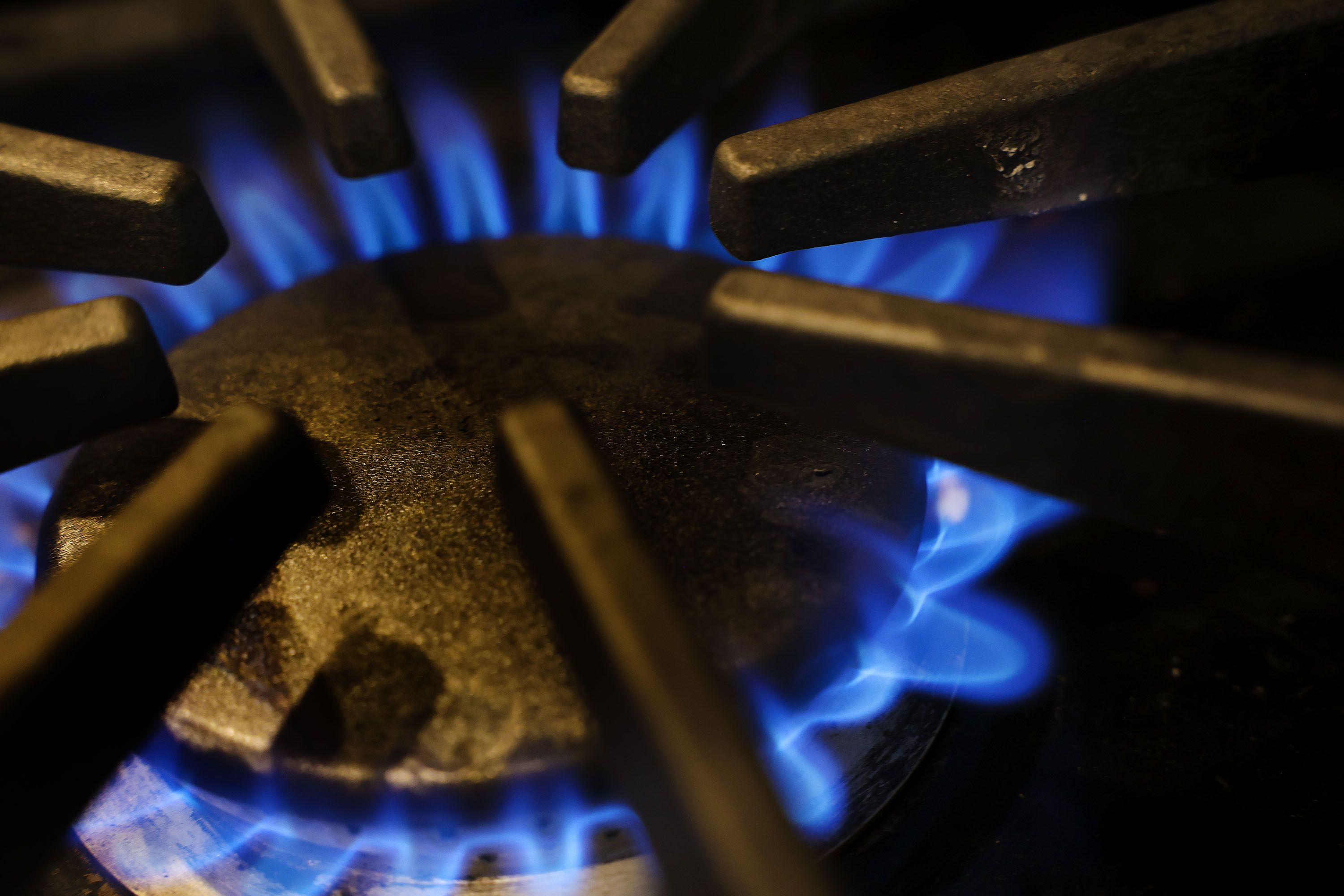 A gas flame is pictured on Wednesday. A Harvard study found a variety of chemical compounds in natural gas used for cooking, including benzene, a known carcinogen.