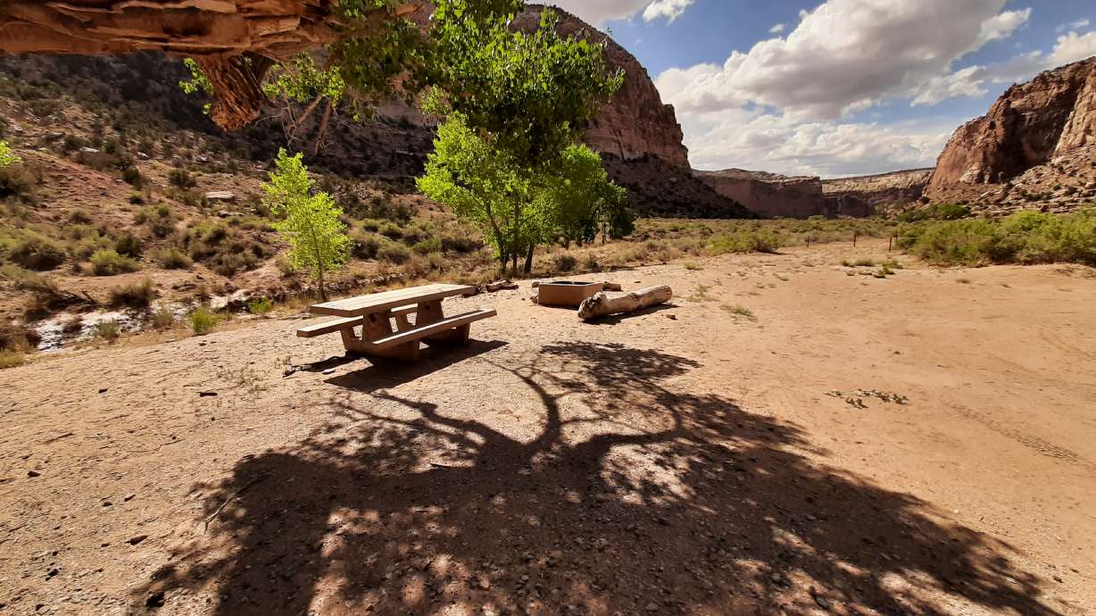 A picnic table at a campsite within the Bureau of Land Management's Price Field Office. The agency announced Friday it is adding new campground fees at 15 sites across the Price and Richfield offices beginning next year; a new campsite in the Salt Lake office will also open with fees.