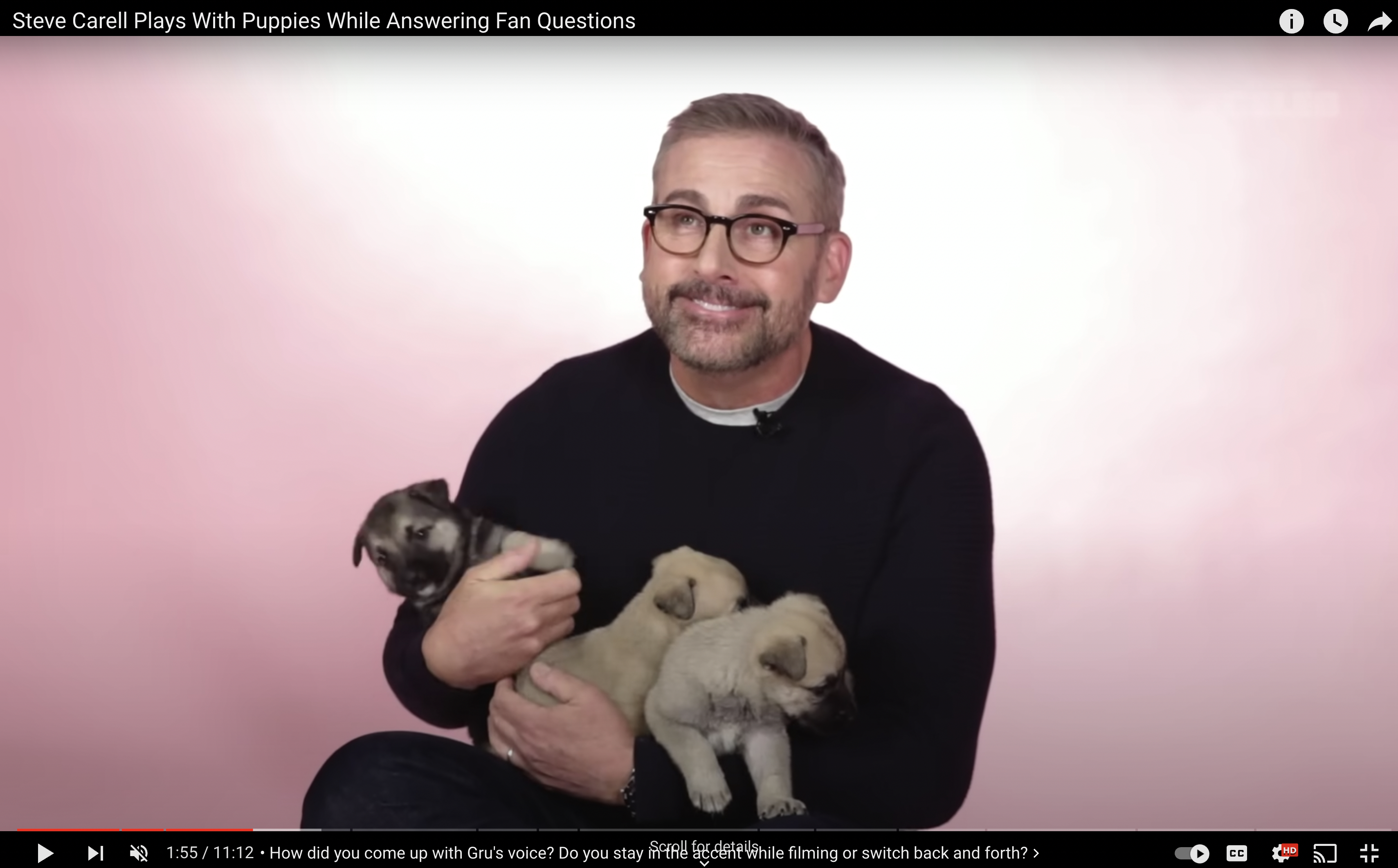 'The Office' and 'Minions' actor Steve Carrell answers interview questions while holding some sleepy, cuddly puppies.