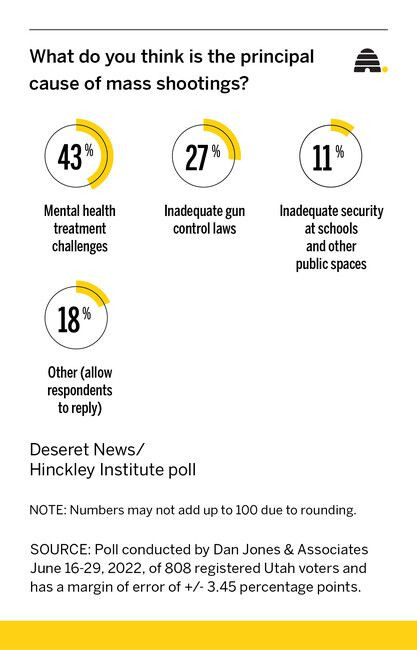 What causes mass shootings? Mental health failures or poor gun laws?