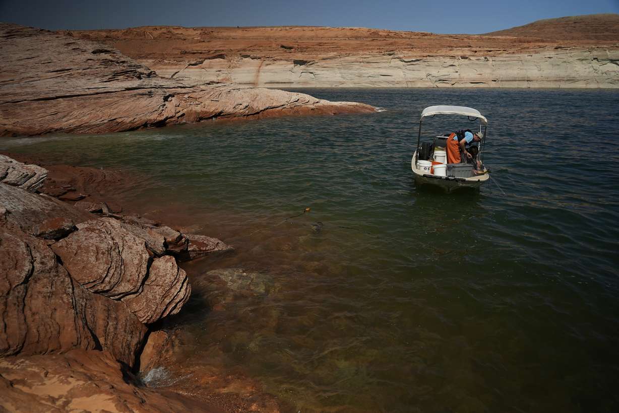 A Utah State University research team works at Lake Powell on June 7, in Page, Ariz.