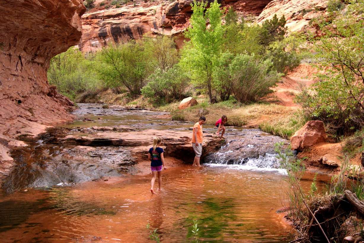 Some of Utah's best swimming holes for a refreshing summer dip