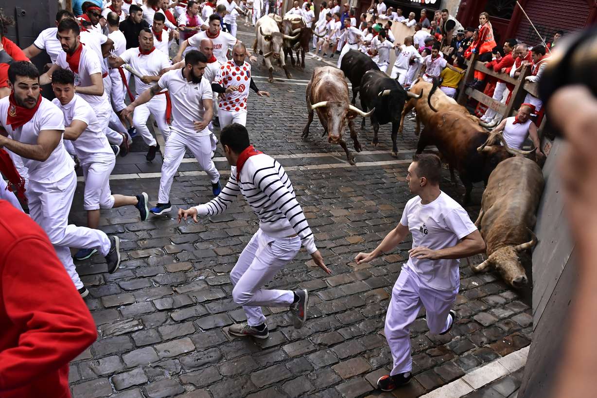 People run through the streets with fighting bulls and steers during the first day of the running of the bulls at the San Fermin Festival in Pamplona, northern Spain, Thursday.