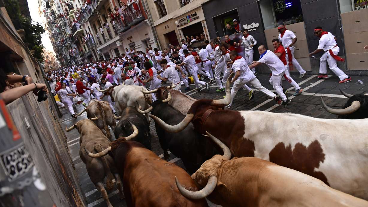 People run through the streets with fighting bulls and steers during the first day of the running of the bulls at the San Fermin Festival in Pamplona, northern Spain, Thursday.