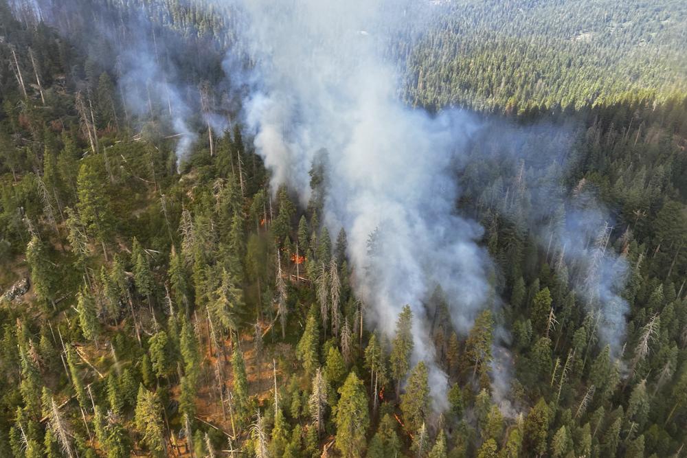 Smoke rises from the Washburn Fire near the lower portion of the Mariposa Grove in Yosemite National Park, Calif., Friday. Part of Yosemite National Park has been closed as a wildfire quintupled in size near a grove of California's famous giant sequoia trees, officials said.
