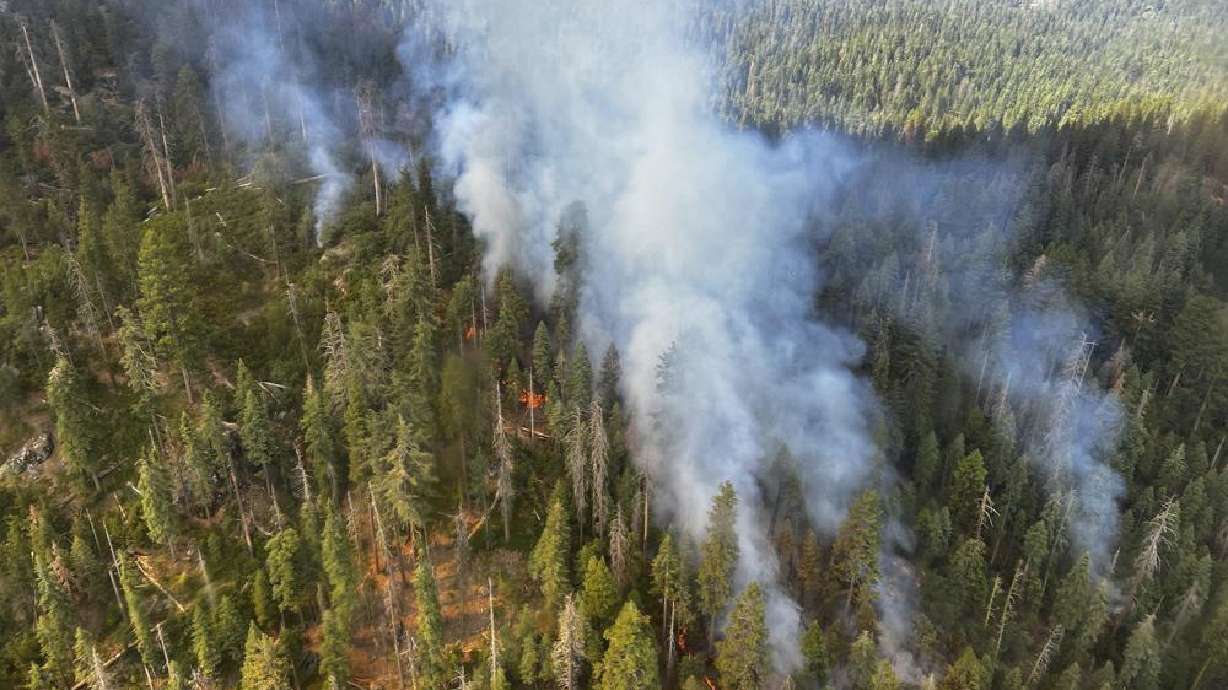 Smoke rises from the Washburn Fire in Yosemite National Park, Calif., Friday. Part of the park has been closed as a wildfire quintupled in size near a grove of California's famous giant sequoia trees, officials said.