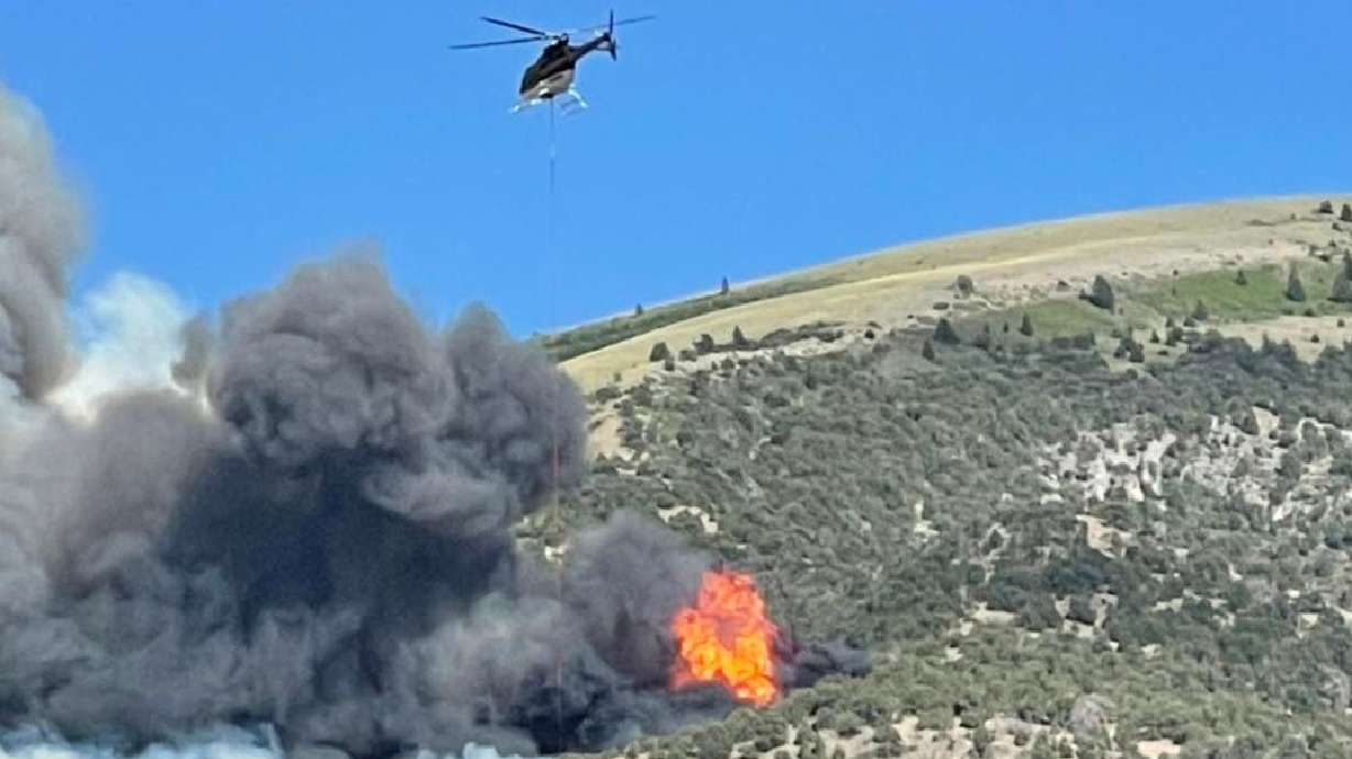 A man was arrested for investigation of reckless endangerment after police say he unintentionally started Saturday's Jacob City Fire.