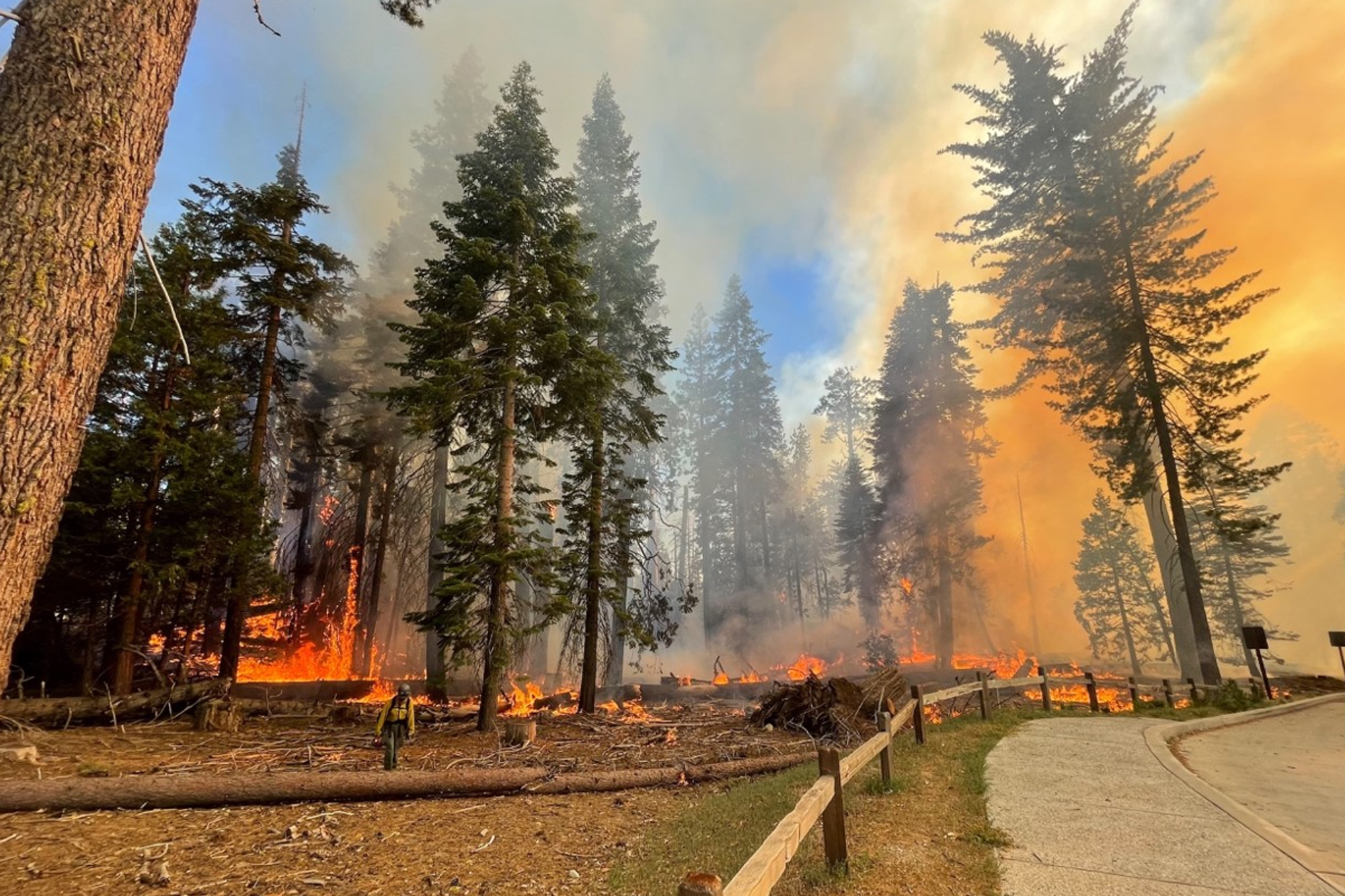 In this image provided by the National Park Service, a firefighter walks near the Mariposa Grove as the Washburn Fire burns in Yosemite National Park, Calif., Thursday. A portion of Yosemite National Park has been closed as a wildfire rages near a grove of California's famous giant sequoia trees, officials said.